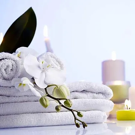 Napraforgó Wellness Ház és Panzió 4*