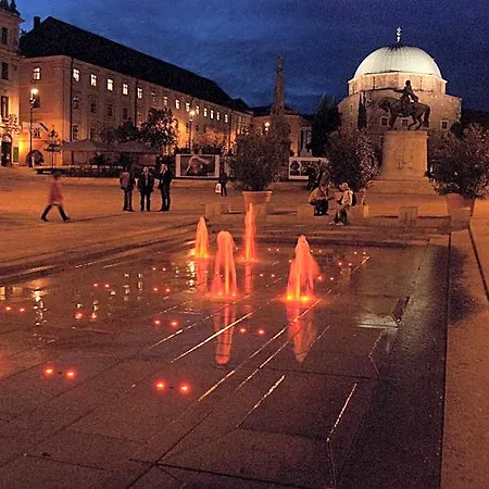 Napraforgó Wellness Ház és Panzió