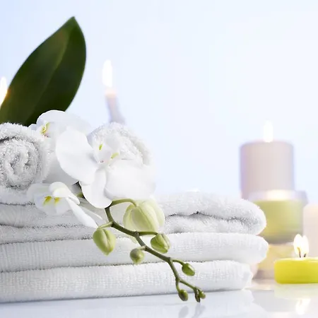 Napraforgo Wellness Haz Es Panzio Bed & Breakfast