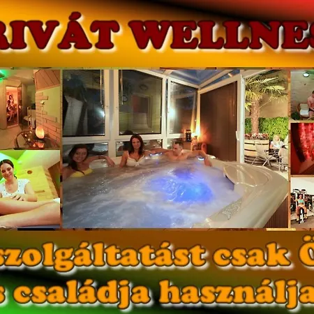 Napraforgo Wellness Haz Es Panzio فندق مبيت وإفطار بيتْش