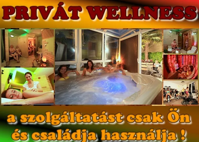 Napraforgo Wellness Haz Es Panzio Bed and Breakfast Πετς